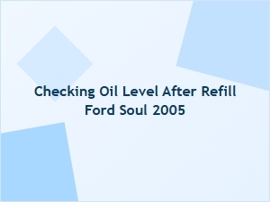 A Guide to Checking Oil Levels and Filter Compatibility
